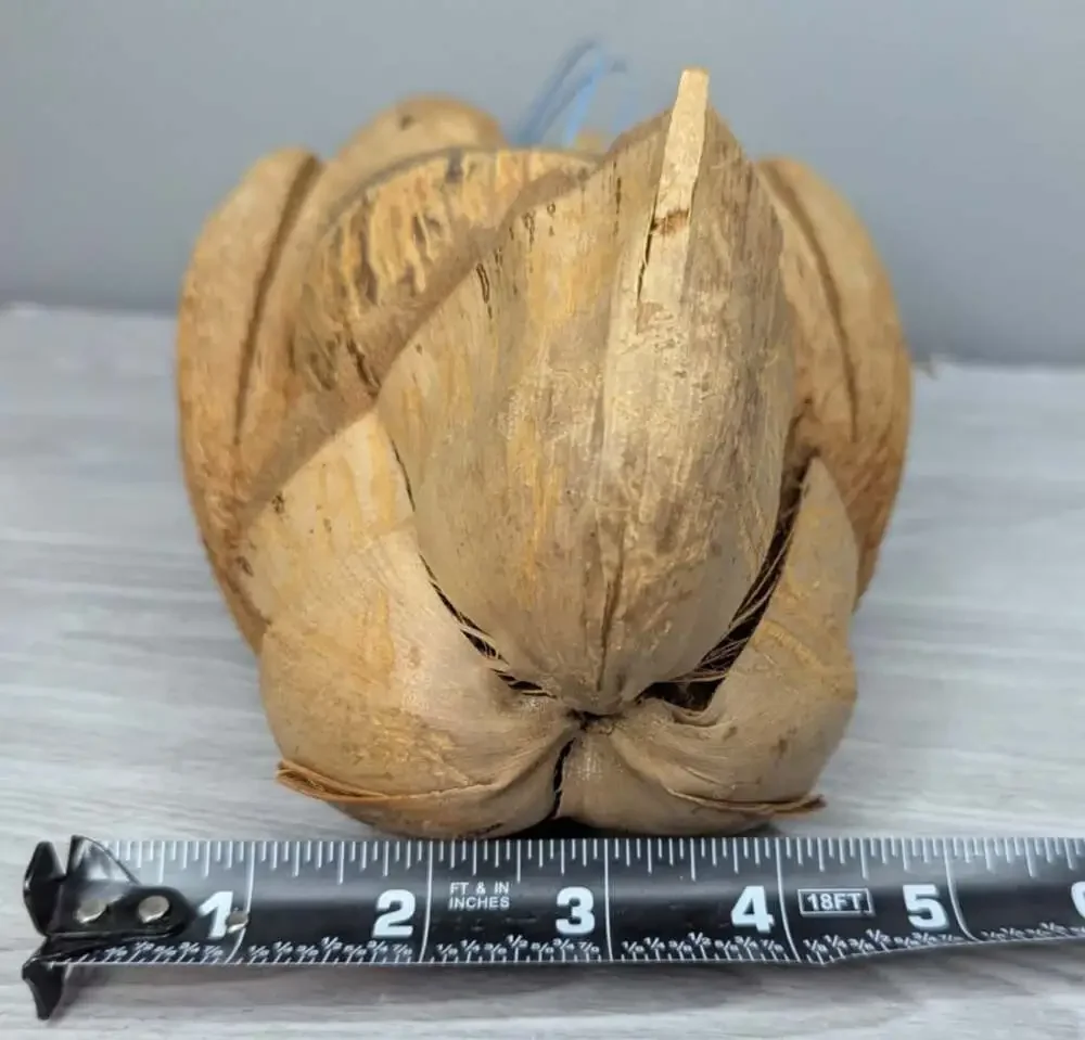 Coconut Shell Bird Feeder Love Birds 9